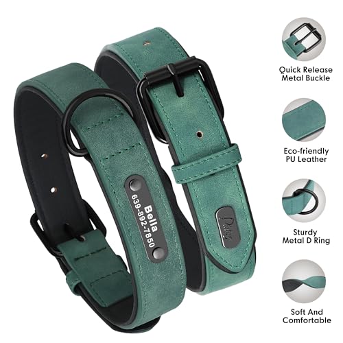 Didog Custom PU Leather Dog Collars with Personalized Engraving Nameplate,Personalized Padded Dog Collars Engraved for Small Medium Dogs,Green,M Size - color: Green, size: M: Fit 11-14"Neck