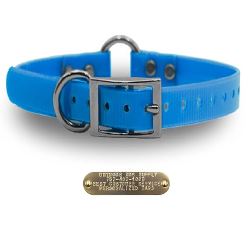 Outdoor Dog Supply 1" Heavy Duty Waterproof D-Ring & Center O-Ring Dog Collar for Medium & Large Dogs | Custom 3/4" Brass Nameplate (Light Blue, 18") - color: Light Blue, size: 18" Long