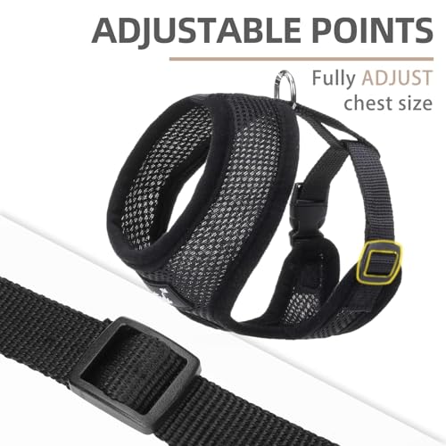 PUPTECK Soft Mesh Dog Harness and Leash Set Pet Puppy Cat Comfort Padded Vest No Pull Harnesses, Solid Black, XS - color: Solid Black, size: XS (NECK: 10", CHEST: 10"-14")