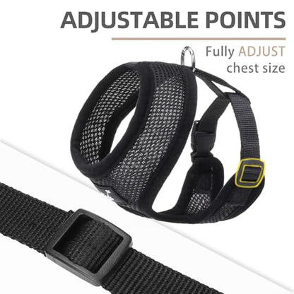 PUPTECK Soft Mesh Dog Harness and Leash Set Pet Puppy Cat Comfort Padded Vest No Pull Harnesses, Solid Black, XS - color: Solid Black, size: XS (NECK: 10", CHEST: 10"-14")