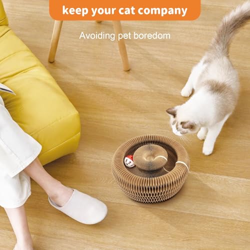 Collapsible Cats Cardboard Scratcher, Interactive Cat Toys for Indoor Cats, Scratch Pad Shape Shifting Ball Track with Bell, Magic Organ Cat Toy for Chase & Scratch Paw Easter Toys for Kitties Paw