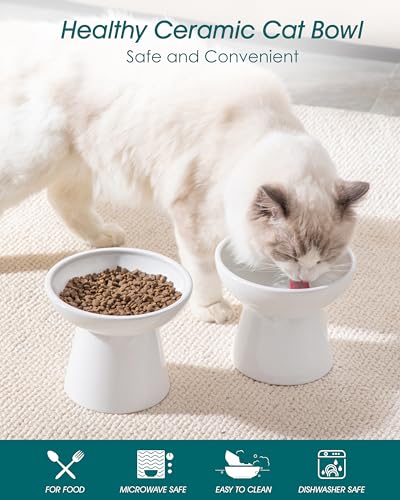 vancasso Elevated Cat Bowls 2-Pack, Ceramic Raised Cat Food and Water Dishes with 5.1" Height & 6.2" Wide Opening - Anti Vomit, Whisker Fatigue Relief for Senior Cats, and Small Dogs (White) - color: White