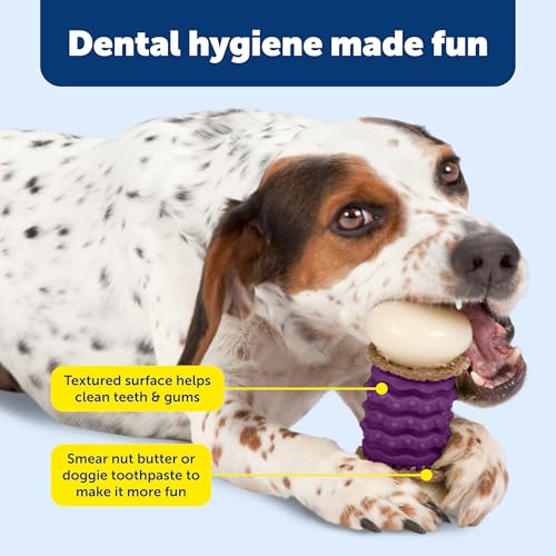 PetSafe Busy Buddy Nobbly Nubbly Treat Holding Dog Toy Strong Chewers Large - size: Large, style: Nobbly Nubbly