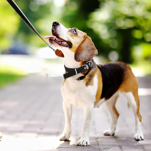 Abaodam Adjustable Soft Foam Padded Pet Collar with Alloy Buckle, Size S Black Dog and Cat Neck Strap for Comfortable Wear, Suitable for Puppies and Kittens