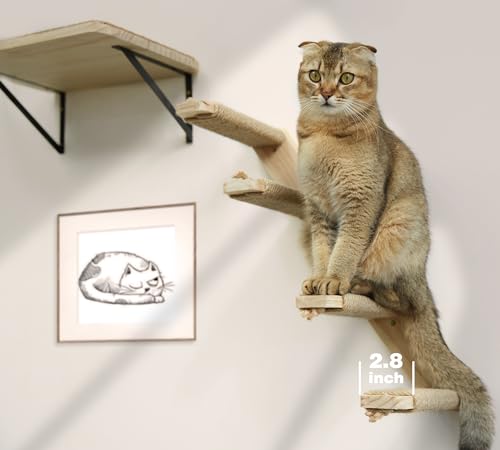 Cat Climbing Stair Shelf Wall Mounted Reversible Left & Right Direction, Cat Stairway Shelf for Climbing with Sisal Rope Ladder Wall Furniture - color: 2 Pieces2Steps