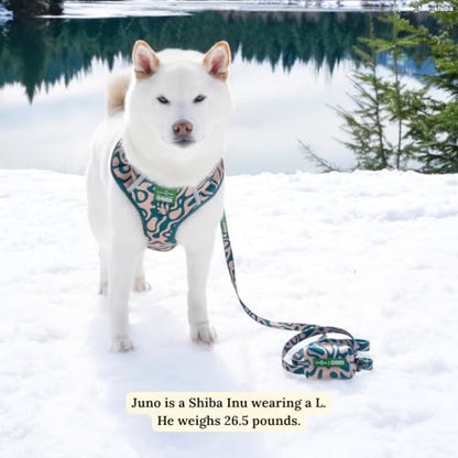 Lucy & Co. x Parks Project Geyser No-Pull Dog Harness, Adjustable Front Clip Harness with Comfort Padding, Small - color: Geyser, size: Small