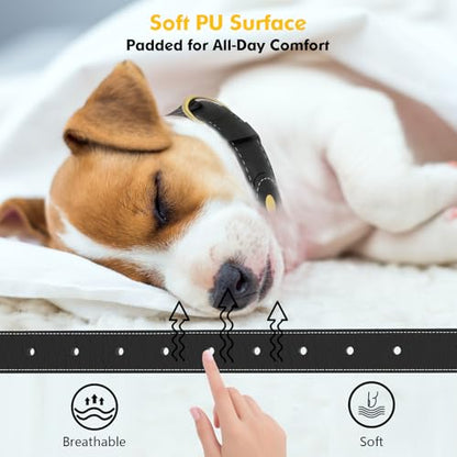 Adjustable AirTag Dog Collar – Waterproof Nylon Pet Collar with Built-in Air Tag Holder and D-Ring Leash Attachment Comfortable Padded, Heavy Duty Dog Collars – Fits Medium Large Dogs(Black)