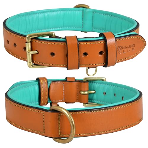 Leather Dog Collar for Medium Dogs, Tan, 1 Inch Wide, Genuine Full Grain Leather, Heavy Duty with Soft Inner Padding, Comfortable and Durable (Medium (Fit Neck Size 14.5"-18.5"), Tan) - color: Tan, size: M (Fit Neck Size 14.5"-18.5")