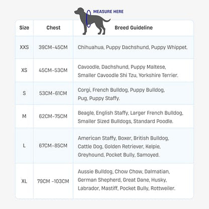 Dog Friendly Co. Dog Harness | Chafe Resistant Webbing, Adjustable Neck & Chest, and Heavy Duty D-Ring | Sturdy, Comfortable, Easy to Use | Burgundy, Size XXS - color: Burgundy, size: XX-Small