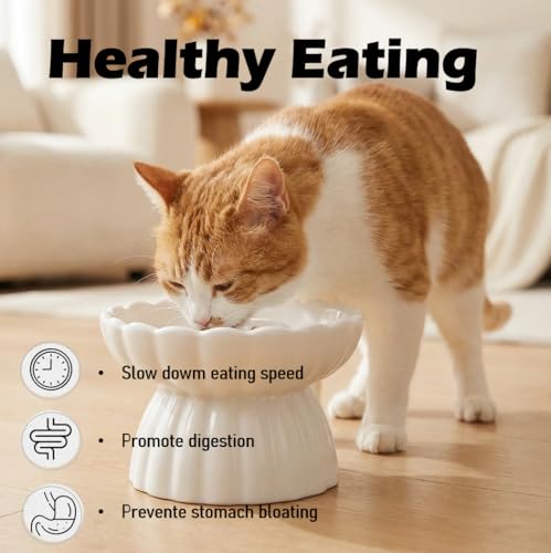 Ceramic Cat Slow Feeder, Raised Slow Feeder Cat Bowl, Anti Vomiting and Whisker Friendly Kitty Dish, Elevated Puppy Kitten Food Bowl for Dry and Wet Food (White) - color: White