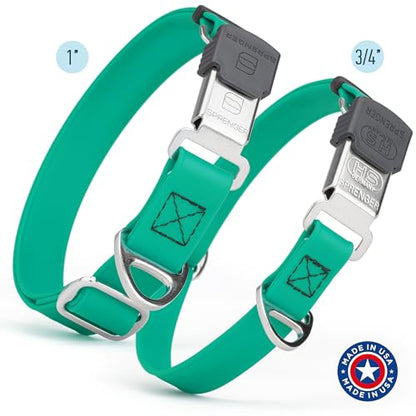 Biothane Waterproof Durable Dog Collar with Herm Sprenger - Quick Release ClicLock Buckle - Fits Medium and Large Dogs - Made in USA (Teal, W 1" x L 15"-25") - color: Teal, size: W 1" x L 15"-25"
