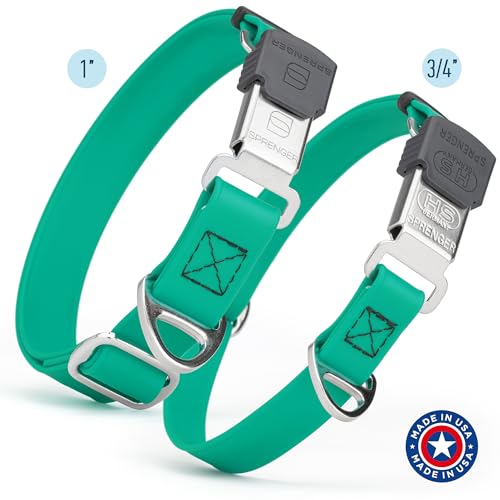 Biothane Waterproof Durable Dog Collar with Herm Sprenger - Quick Release ClicLock Buckle - Fits Medium and Large Dogs - Made in USA (Teal, W 3/4" x L 12"-19") - color: Teal, size: W 3/4" x L 12"-19"