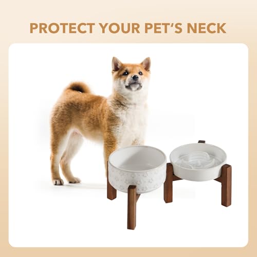 Havniva 0.9 Cup Elevated Slow Feeder Dog Bowls, 6.1” Dog Slow Feeding Bowls + 6.1” Ceramic Dog Water Bowls Set with Acacia Wood Stand, Dog Food Bowls Puzzle Feeder for Small Dogs Non-Slip Anti-choking - color: 2 x White + Stand - A, size: S- 6.1inch / 0.9