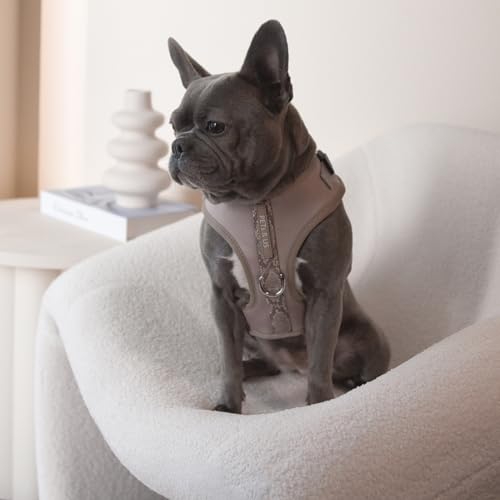 Premium No-Pull Dog Harness Soft Neoprene & Breathable Mesh Vest with Front & Back Clip D-Rings Adjustable Lightweight Walking Harness for Puppies, Small & Medium Dogs (Brown Taupe Snake, S) - color: Brown Taupe Snake, size: S: Neck=13.8-17.3''/Chest=16.1