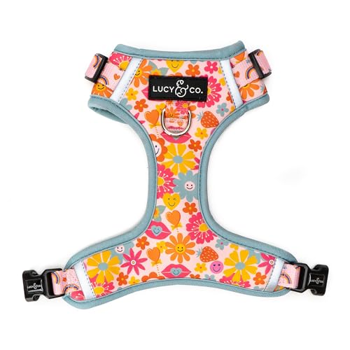 Lucy & Co. The Y2K Baby No-Pull Dog Harness - Size Small - Vest to Stop Pulling & Walk Easy - Comfortable Leash Training Product w/Adjustable Chest & Neck Straps - color: The Y2K Baby No-Pull Harness, size: Small