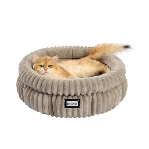 BALANCE Cat Bed Kitten Bed, Washable Round Cat Beds for Indoor Cats,Super Soft Plush Faux Fur Pet Bed for Puppy and Kitten with Anti-Slip Bottom - color: Wind Chime, size: 24.0"L x 24.0"W x 9"Th