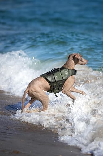 NOAH & PAW Dog Life Jacket, Human Standards Lifejacket Design, Dog Life Vest for Swimming and Boating, 3X Foam Support for Max Floating, Breathable Mesh, Salvavidas para Perros, Size M - size: M