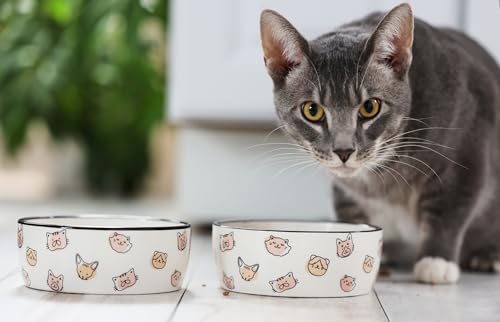 Pearhead Ceramic Cat Bowl, Holds 12 oz, Whisker-Friendly Pet Dish for Food and Water, Cute Cat Face Design - color: Blush Cat Faces, size: Single Bowl