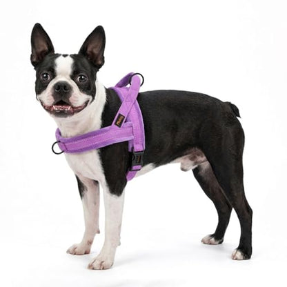 Didog Soft Flannel Padded Dog Vest Harness, No Pull/Quick Fit Reflective Dog Strap Harness, Easy for Training Walking (XS:Chest 15-18", Purple) - color: Purple, size: XS:chest 15-18"