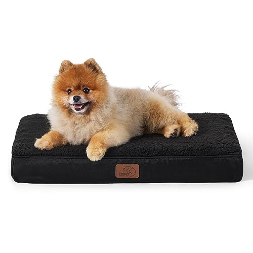 Bedsure Dog Bed for Small Dogs - Comfy Flat Puppy Beds with Removable Washable Cover, Orthopedic Egg Crate Foam Pet Mat, Suitable for Pet Up to 15 lbs - color: Black, size: 24"L x 16"W x 3"Th