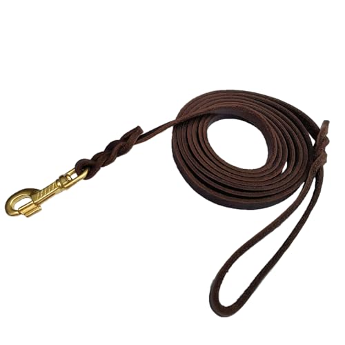 LWBMG Leather Dog Leash - 4ft x 1/2 inch, Braided, Comfortable Training Leash for Small & Medium Dogs - color: Brown, size: 4ft x 1/2 inch