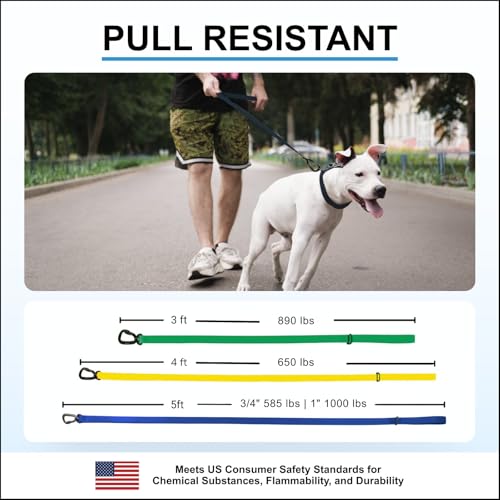 Essential Biothane Dog Leash for Small, Large, Medium Dogs - Waterproof - Dog Training - Locking Carabiner - 3/4 in x 3 ft Long - Mint Green - color: Mint Green, size: 3/4 In x 3 Feet