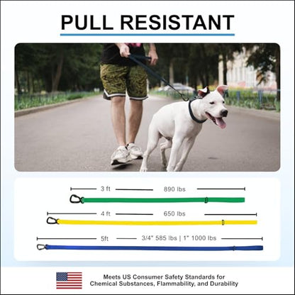 Essential Biothane Dog Leash for Small, Large, Medium Dogs - Waterproof - Dog Training - Locking Carabiner - 3/4 in x 3 ft Long - Amethyst Purple - color: Amethyst Purple, size: 3/4 In x 3 Feet