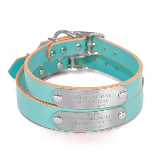 Handmade Personalized Bridle Leather Dog Collar, Engraved Stainless Steel Nameplate (Robin's Egg Blue) - color: Robin's Egg Blue