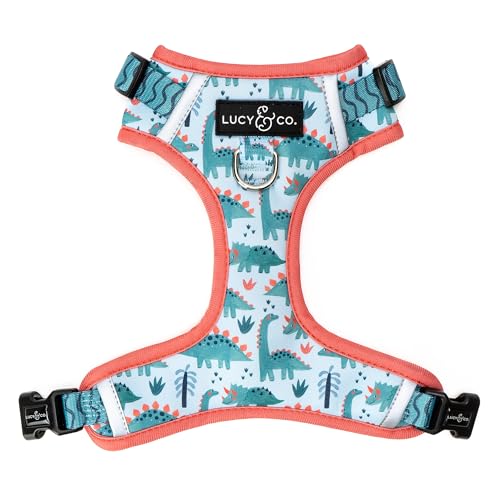 Lucy & Co. Cute No-Pull DinoROAR! Harness - Stop Pulling & Walk Easy - Harness Available in XS-XL for Small, Medium, and Large Dogs - DinoROAR! (Small) - color: The DinoROAR No-Pull Harness, size: Small