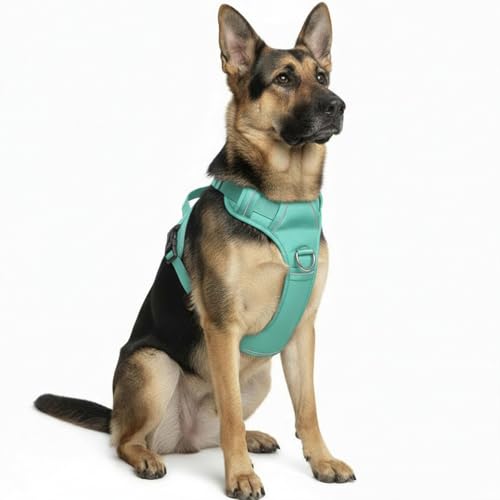 No Pull Dog Harness with 2 Leash Clips, Adjustable Soft Padded Reflective Oxford Pet Vest with Easy Control Handle for Large Dogs (Turquoise, Extra Large) - color: Turquoise, size: Extra Large