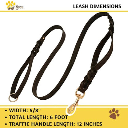ADITYNA - Double Handle Leather Dog Leash 6ft - Heavy Duty Braided Dog Leash with Traffic Handle - Lead for Training and Walking Medium Large Breeds (Black, Two Handles 6 Foot x 5/8") - color: Black, size: Two Handles 6 foot x 5/8"