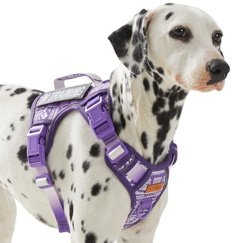 AUNZO Dog Vest Harness with 2 Patches, No Pull Dog Harness for Walking Training Hiking, Metal D-Rings Easy on/Off Neck Buckle Reflective Strips Soft Padded Handle, Purple - color: Purple Ethnic, size: Medium