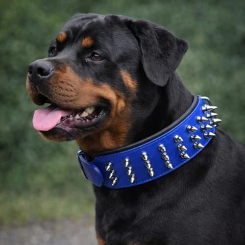 Luxury Leather Spike Dog Collar, Double-Layer Soft Cowhide, Punk Style for Medium and Large Dogs, Pit Bulls, Rowena (Blue,M-Neck 33-41cm) - color: Blue, size: M-neck 33-41cm