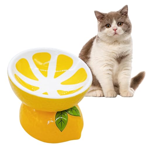 Hamiledyi Ceramic Raised Cat Bowl 5In Elevated Wide Cat Bowl for Food and Water Anti Vomiting Tilted Pet Feeder Dish for Indoor Cats and Small Dogs(Lemon)