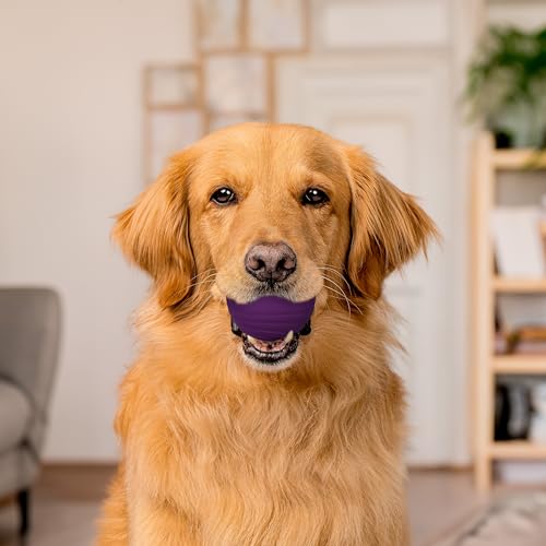 Playology Dog Toys | Dual Layer Ball Durable Chew Toy for Tough Chewers | Bacon Scented Jumbo Dog Toy | Chew Toys for Large Dogs - size: Jumbo, style: Bacon