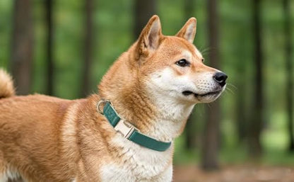 Soft Classic Leather Dog Collar Heavy Duty Padded Collars with Metal Buckle for Puppy Small Medium Dogs (Dark Green,S) - color: Dark Green, size: Small