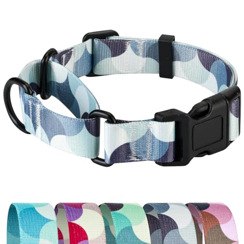 Martingale Collar for Dogs, Heavy Duty Escape Proof for Safety, Quick Release Buckle Adjustable Soft Nylon Dog Martingale Collars for Training & Daily Walking - color: gray, size: M-width: 1",suitable for neck 14"-19"