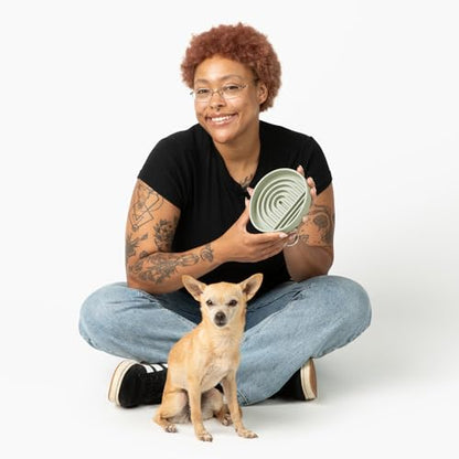 Should We Go? Slow Feeder for Dogs & Cats, The Slowdown Bowl Silicone Slow Eating Mealtime Solution with Modern Lick Mat Design, Reduces Gulping, Fits 1 Cup, 6” Across x 1.25” Tall, Small-Sage - color: Sage - Rainbow Design, size: Small (6” Across x 1.25”