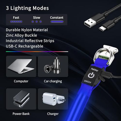 LED Dog Collar with Metal Buckle - USB Rechargeable Glow Collar for Dogs, Waterproof Light Up Dog Collar w/Reflective Strips - Adjustable Night Safety Collars by PetIsay(Blue,Large) - color: Blue(Fiber optic version), size: Large (18½ " - 23½ ")