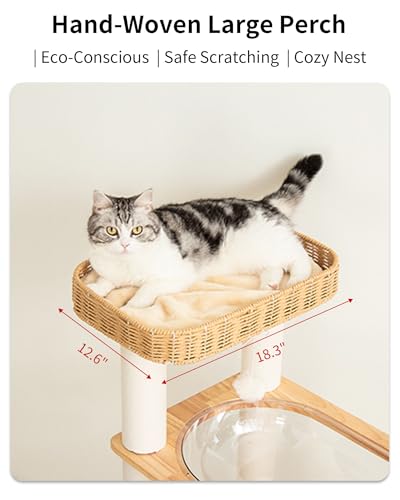 Wood Cat Tree for Large Cats, Modern Cat Tree Tower with Wide Shelves Cotton Scratching Posts, Super Sturdy Base, Cozy Perches, and Interactive Toys for Indoor Kittens - color: s975