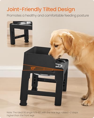 Feandrea Dog Bowls Elevated, Raised Stand with 1 Slow Feeder and Two 304 Stainless Steel Bowls, Adjustable Height and Tilted Design, Ink Black UPRB103B01 - color: Ink Black