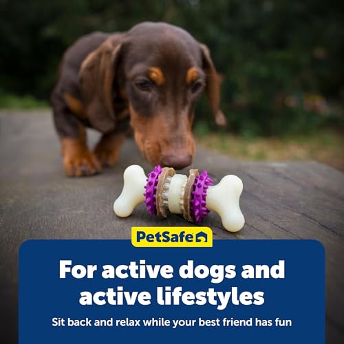 PetSafe Busy Buddy Bristle Bone Dog Chew Toy - Treat Holding Toothbrush Toy for Hard Chewers - Helps Keep Your Dog's Teeth Clean - Durable, Interactive - Purple, Medium - size: Medium, style: Bristle Bone