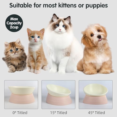 Bulldog Bowl Anti-Slip Dog Cat Dish Detachable Rubber Dog Bowl Pet Sterile Tilted Pet Feeder Slope Base (Lightpink, 2 Cup (Small/Medium Dog)) - color: Lightpink, size: 2 Cup ( Small/Medium Dog )