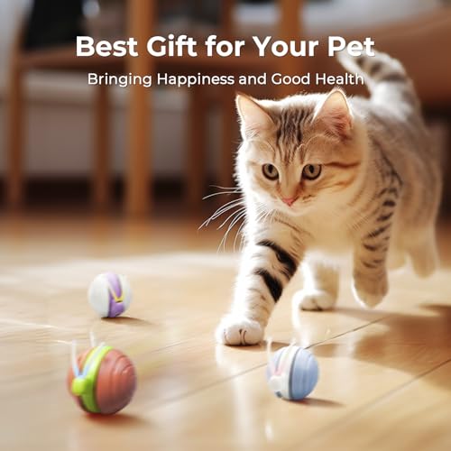 Cheerble Interactive Cat Toy for Indoor Cats, Wicked Snail Kitten Toys, Automatic Cat Toys with LED Lights, Rechargeable Moving Toys for Cats, Smart Stimulating Electric Pet Toy(Blue) - color: Blue