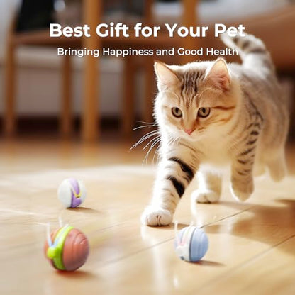 Cheerble Interactive Cat Toy for Indoor Cats, Wicked Snail Kitten Toys, Automatic Cat Toys with LED Lights, Rechargeable Moving Toys for Cats, Smart Stimulating Electric Pet Toy(Blue) - color: Blue