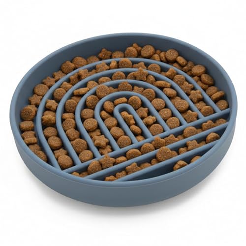Should We Go? Slow Feeder for Dogs & Cats, The Slowdown Bowl Silicone Slow Eating Mealtime Solution with Modern Lick Mat Design, Reduces Gulping, Fits 1 Cup, 6” Across x 1.25” Tall, Small-Ocean - color: Ocean - Rainbow Design, size: Small (6” Across x 1.2