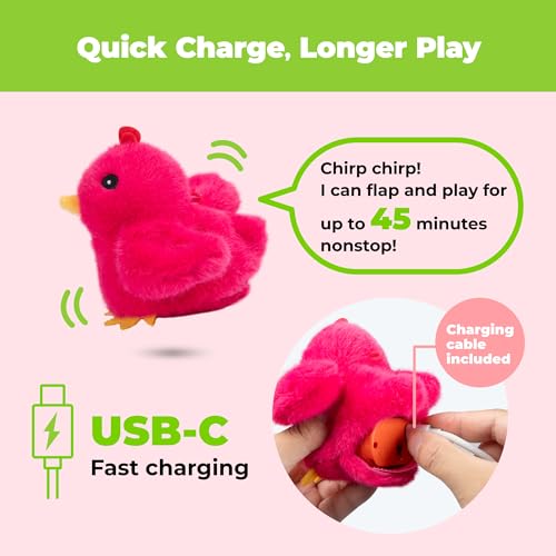 Catify Best Pet Supplies Flapping Duckling, Chick & Bird Cat Toy - Motion-Activated Wings Realistic Chirps, Catnip-Infused Plush, USB Rechargeable Indoor Cats & Kittens, Self-Play Enrichment - Fuchsia - color: Flapping Chick Fuchsia