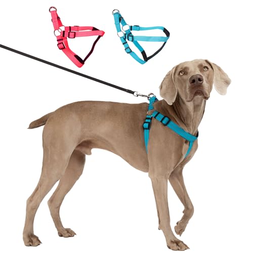 BLAZIN Reflective Dog Harness - 'Color Me Happy!' Adjustable Step-in Reflective Nylon Vest Harness - Neoprene Padded for Extra Comfort (Large, Blue) - color: Bright Blue, size: Large