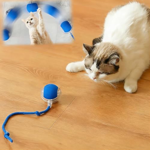 Interactive Cat Toys for Indoor Cats, Agility Move Cat Balls,Motion Activated Cat Balls, Cat Toys for Bored Indoor Cats (Blue) - color: Blue