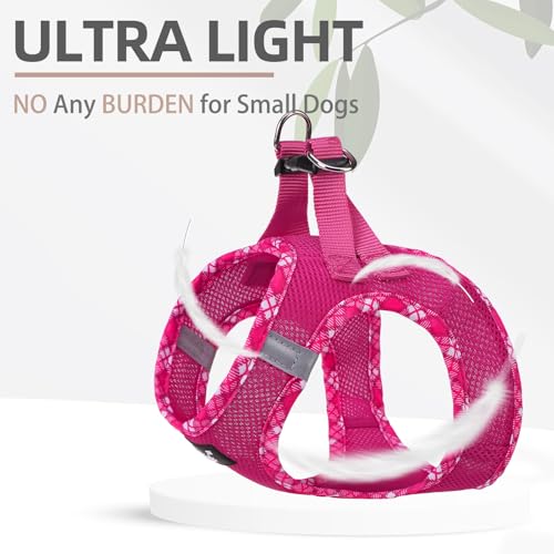 PUPTECK Dog Harness and Leash Set for Small Medium Dogs No Pull Step-in Soft Mesh Puppy Cat Vest Harnesses Reflective at Night, Fuchsia, XS - color: #1 Fuchisa(Basic Mesh), size: XS(CHEST 13"-14.5", 3-9 lbs)